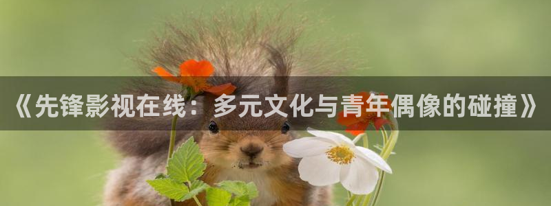 新闻图片