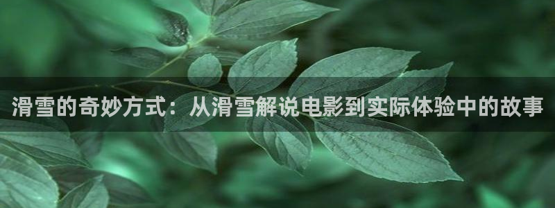 新闻图片