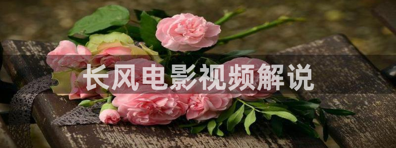 小优视频茄子视频