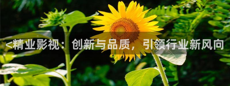 茄子视频18