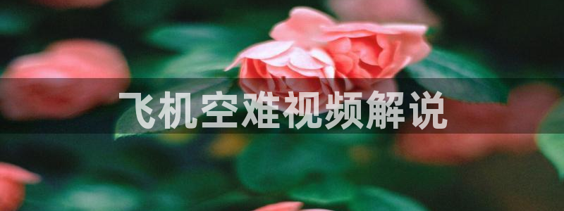 小优视频茄子视频