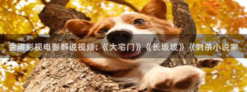 四虎茄子视频