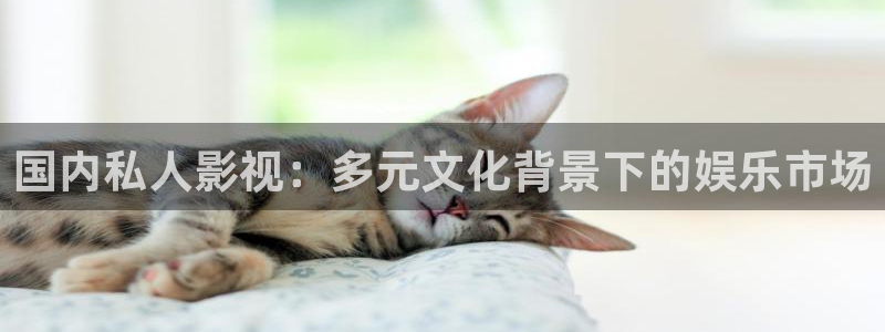 大茄子视频