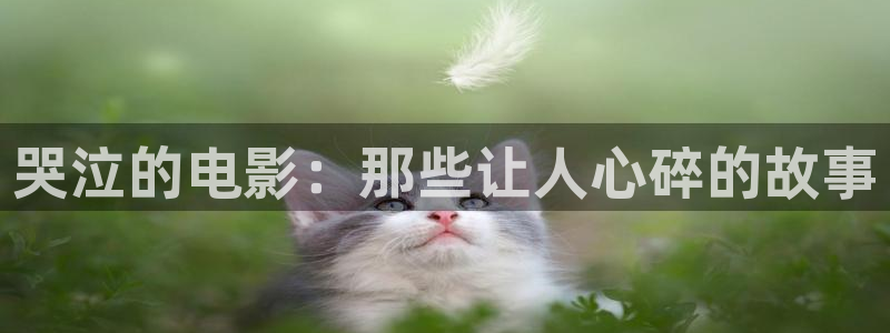 茄子视频视频