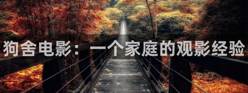 茄子视频一