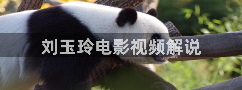 茄子视频一