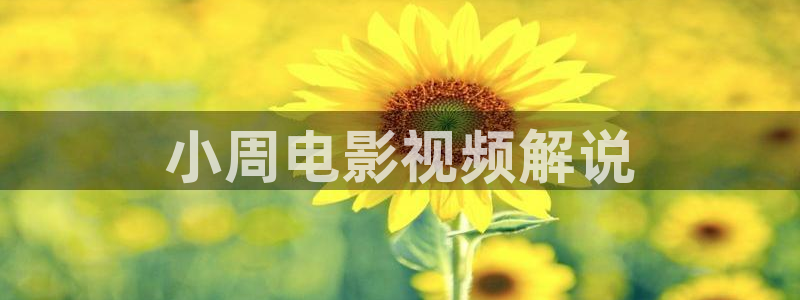 茄子视频一