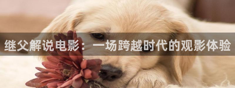 茄子视频?