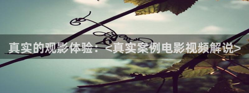 茄子视频一