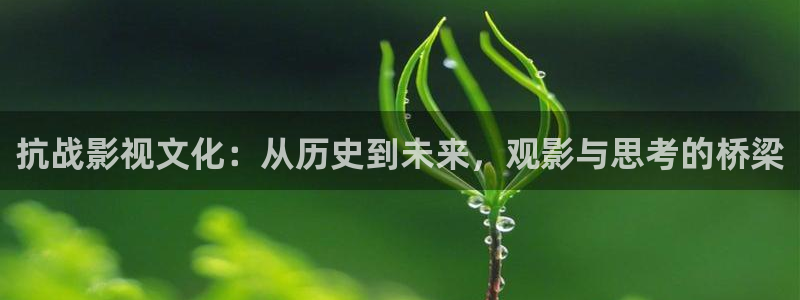 91茄子视频