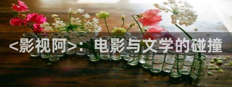 茄子视频色版