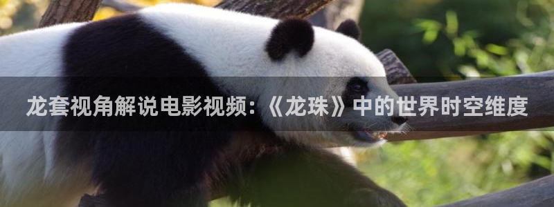 茄子视频a