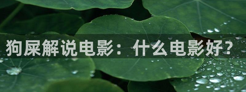 qiezi 茄子视频