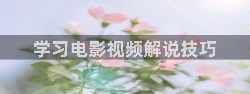 丝瓜茄子视频在线观看