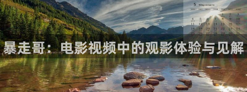 茄子视频了