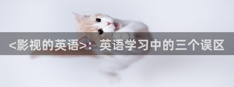 茄子视频qz