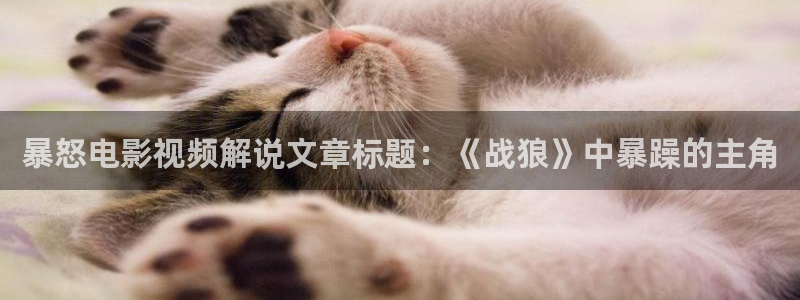 四虎茄子视频