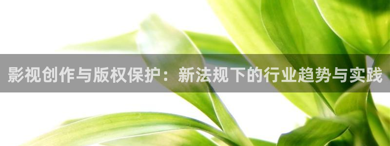 qiezi 茄子视频