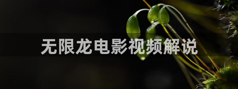 茄子视频www