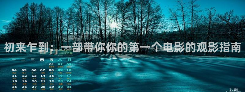 茄子视频视频