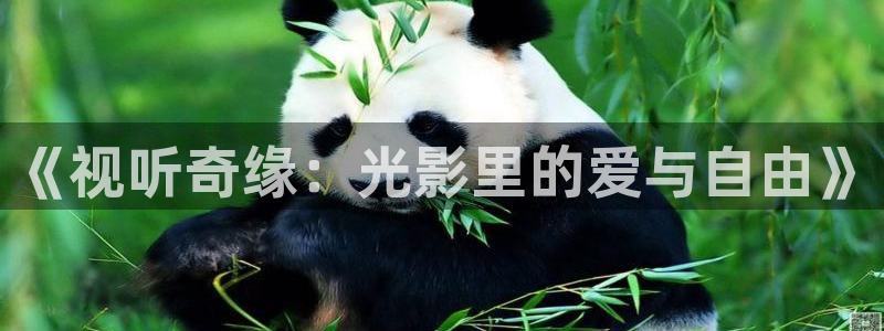 茄子视频?