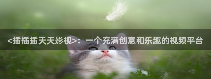 大茄子视频