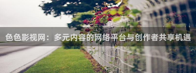 茄子视频www