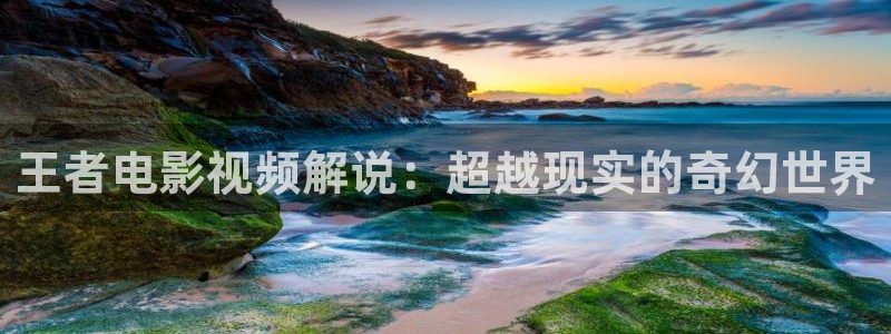 茄子视频色版