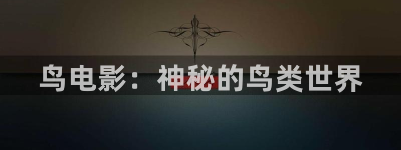 茄子视频 magnet