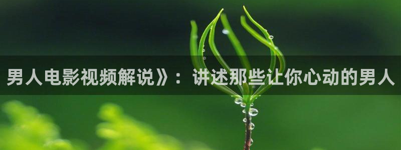 茄子视频18