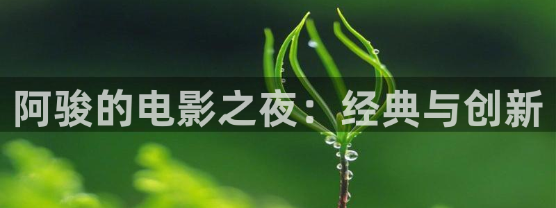 大茄子视频