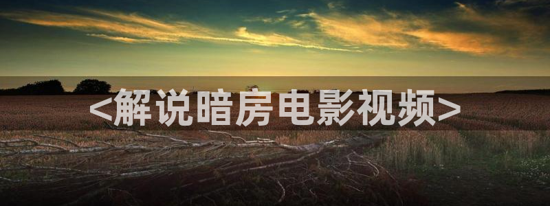 丝瓜茄子视频在线观看