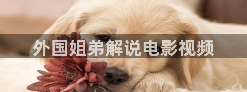 樱桃茄子视频