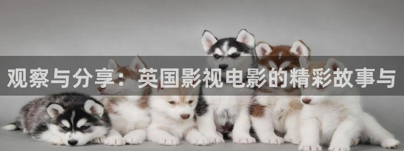 茄子视频qz
