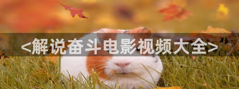 茄子视频视频