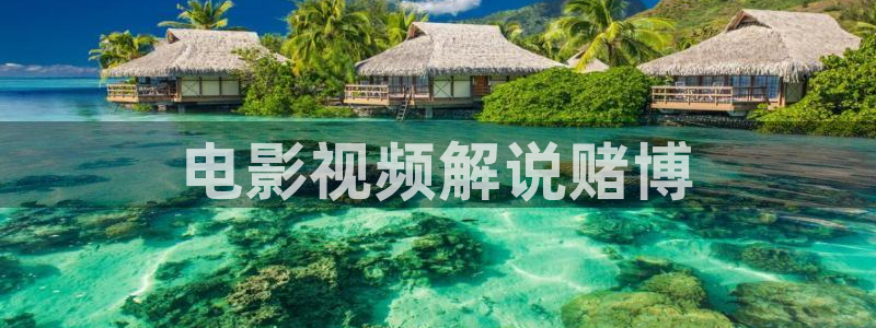 茄子视频a