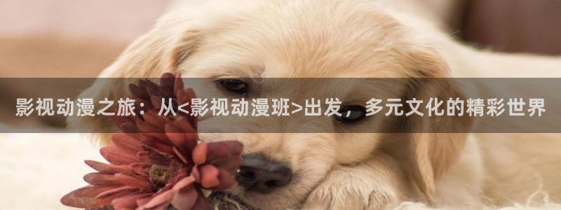 茄子视频www
