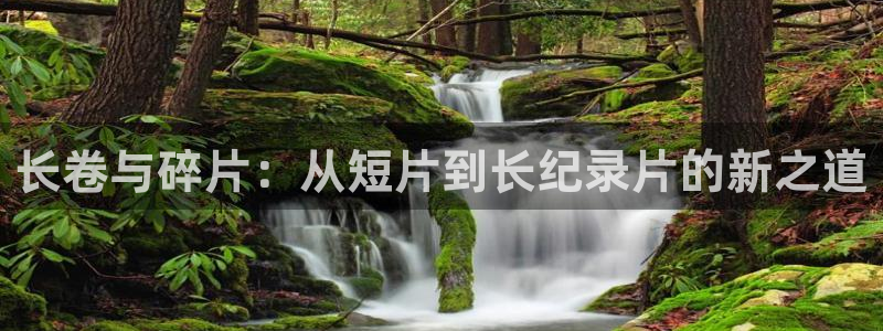 丝瓜茄子视频在线观看