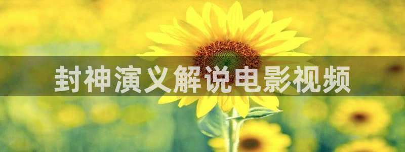 茄子视频了