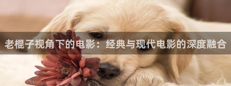 四虎茄子视频