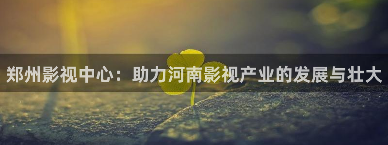 茄子视频了