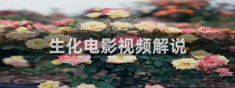 茄子视频
