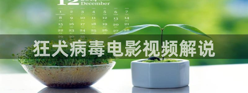 91茄子视频