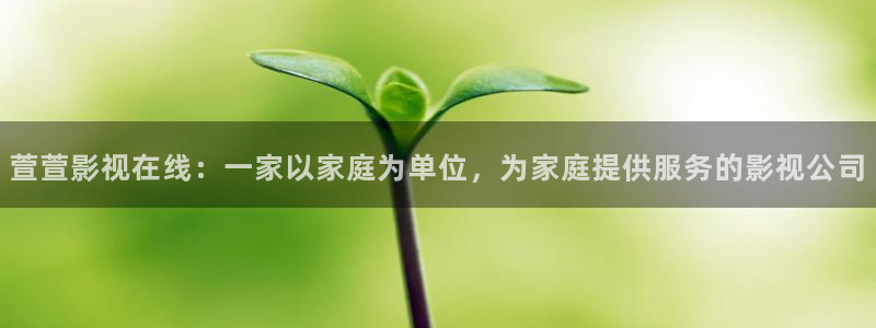 茄子视频色版