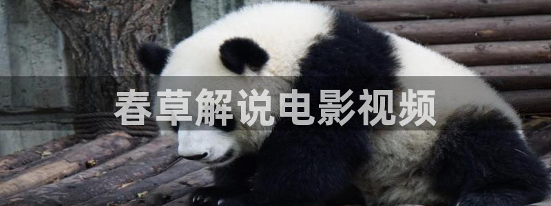 茄子视频?