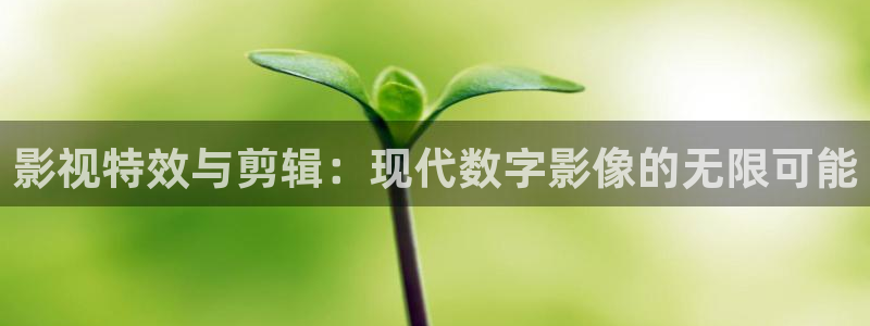 茄子视频a