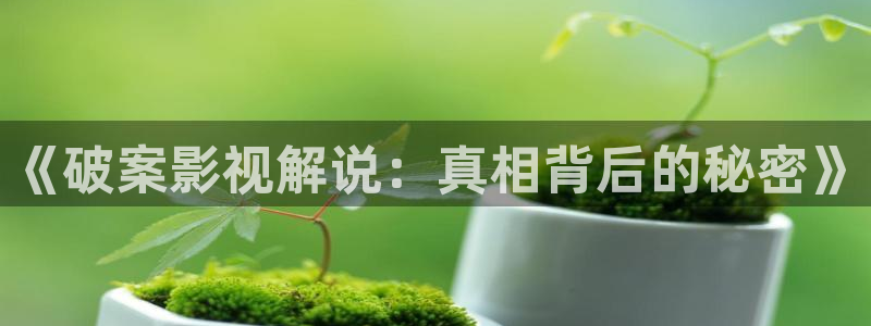 茄子视频了