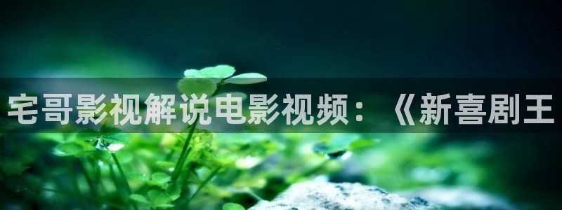 茄子视频qz