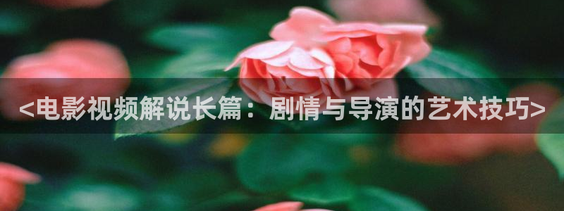 qiezi 茄子视频