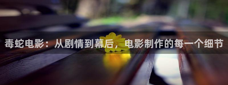 茄子视频www